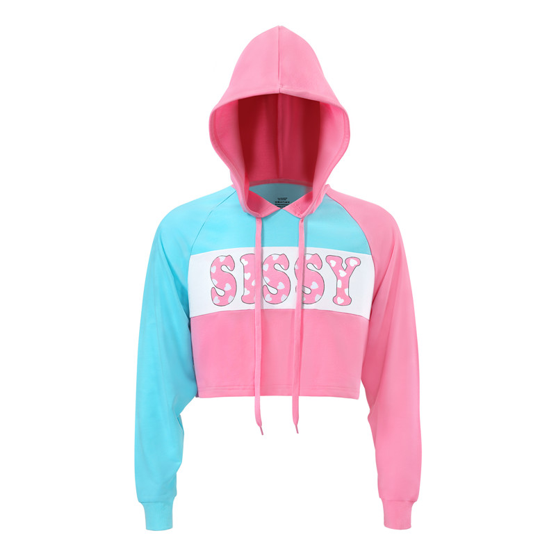 Pastel SissyUniversity Cropped Hoodie Sweatshirt - Image 5
