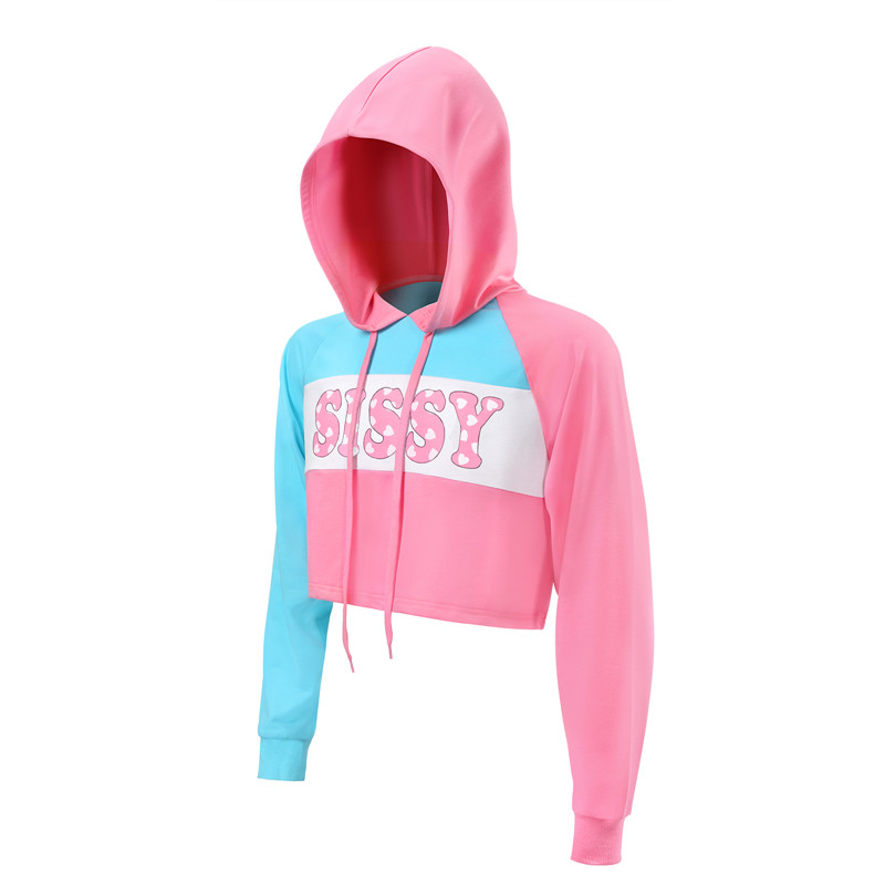 Pastel SissyUniversity Cropped Hoodie Sweatshirt - Image 6
