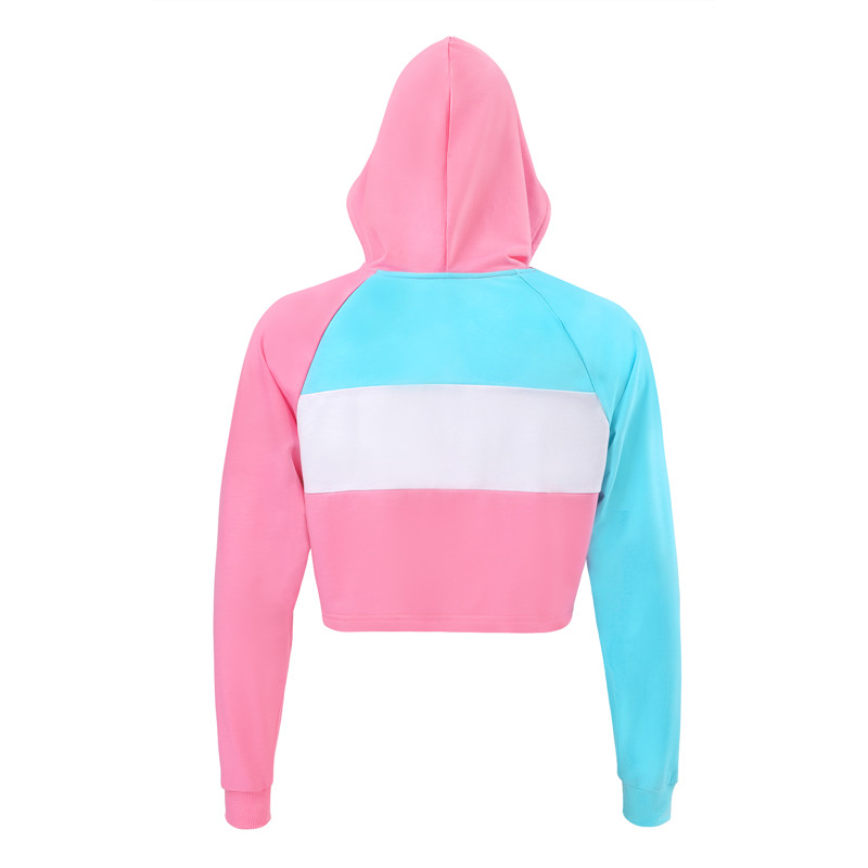 Pastel SissyUniversity Cropped Hoodie Sweatshirt - Image 7