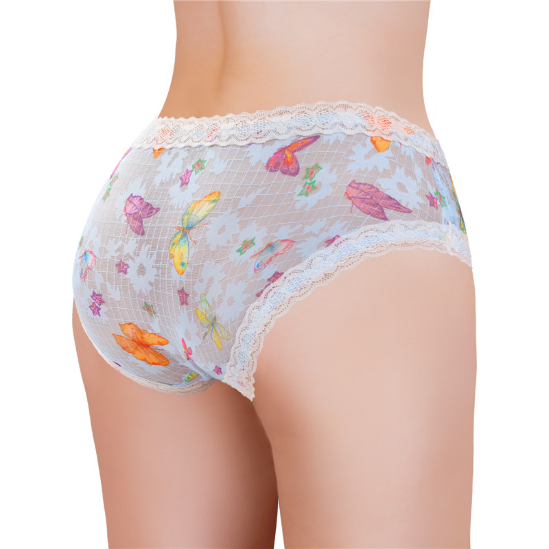 Butterflies Pattern Tucking Gaff Panties - Image 3