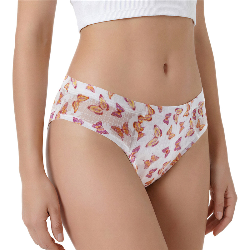 Butterfly Print Mesh Tucking Gaff Brazilian Cheeky Panties - Image 3